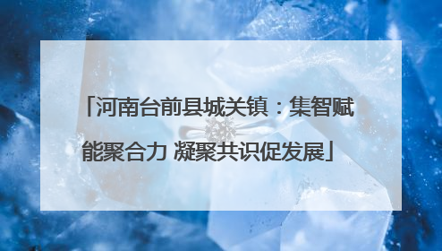 河南台前县城关镇：集智赋能聚合力 凝聚共识促发展