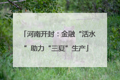 河南开封：金融“活水”助力“三夏”生产