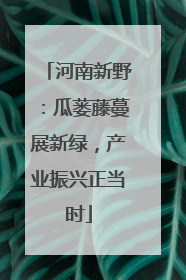 河南新野：瓜蒌藤蔓展新绿，产业振兴正当时