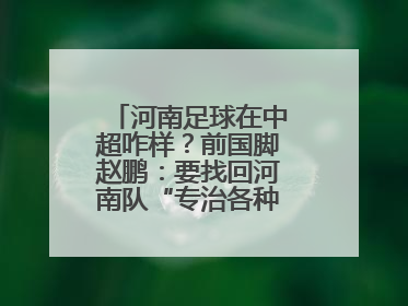 河南足球在中超咋样？前国脚赵鹏：要找回河南队“专治各种不服”的精神
