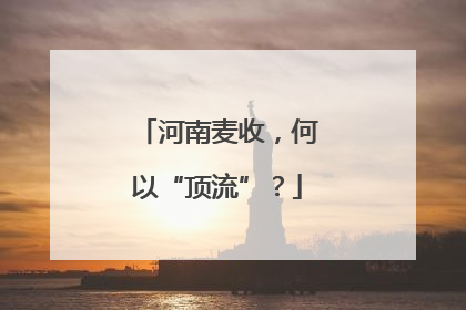河南麦收，何以“顶流”？