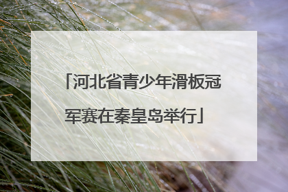 河北省青少年滑板冠军赛在秦皇岛举行