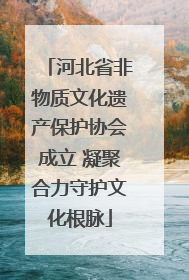河北省非物质文化遗产保护协会成立 凝聚合力守护文化根脉