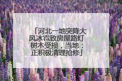 河北一地突降大风冰雹致房屋路灯树木受损，当地：正积极清理抢修