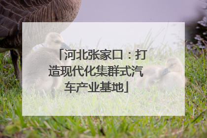 河北张家口：打造现代化集群式汽车产业基地