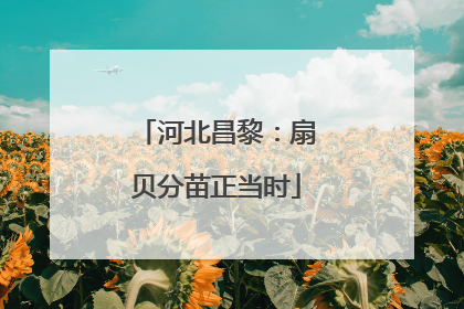 河北昌黎：扇贝分苗正当时