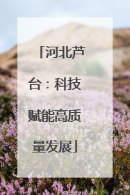 河北芦台：科技赋能高质量发展
