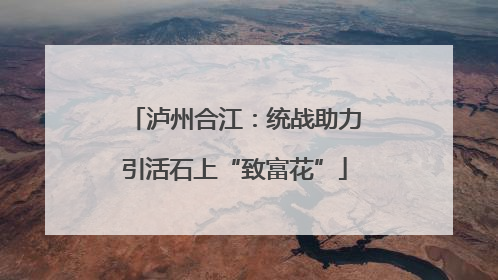 泸州合江：统战助力引活石上“致富花”