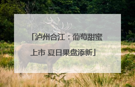 泸州合江：葡萄甜蜜上市 夏日果盘添新