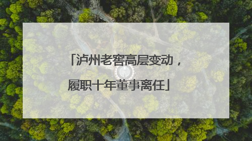 泸州老窖高层变动，履职十年董事离任