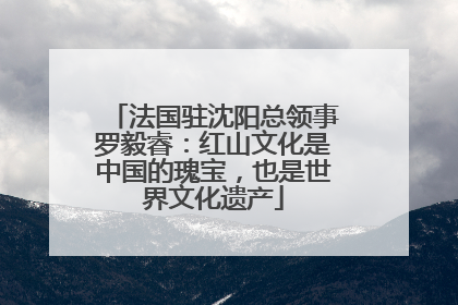 法国驻沈阳总领事罗毅睿：红山文化是中国的瑰宝，也是世界文化遗产