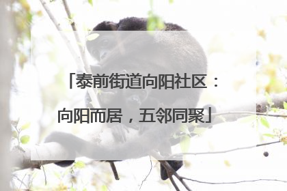 泰前街道向阳社区：向阳而居，五邻同聚