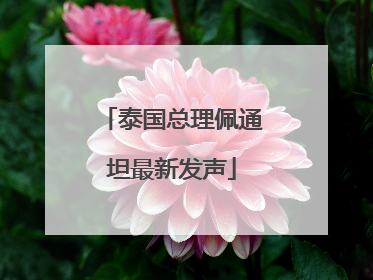 泰国总理佩通坦最新发声