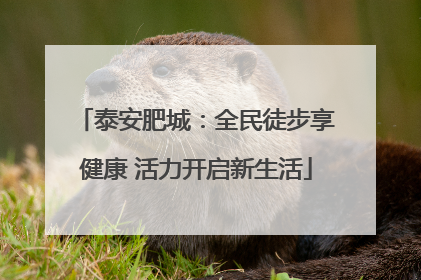 泰安肥城：全民徒步享健康 活力开启新生活
