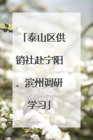 泰山区供销社赴宁阳、滨州调研学习