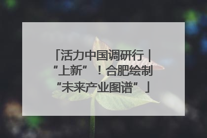活力中国调研行｜“上新”！合肥绘制“未来产业图谱”
