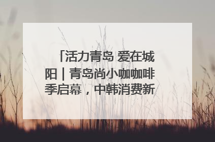 活力青岛 爱在城阳｜青岛尚小咖咖啡季启幕，中韩消费新场景点燃夏日热情