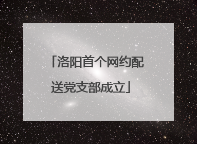 洛阳首个网约配送党支部成立