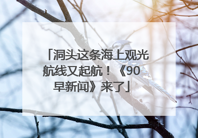 洞头这条海上观光航线又起航！《90早新闻》来了