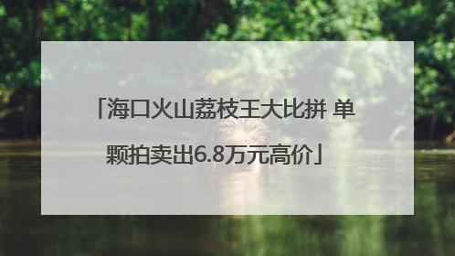 海口火山荔枝王大比拼 单颗拍卖出6.8万元高价