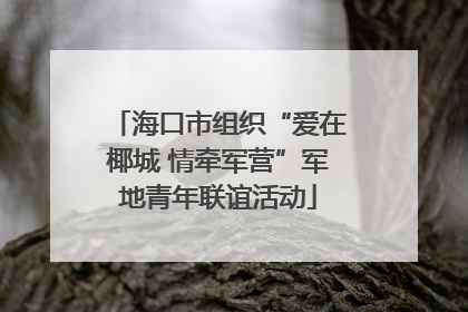 海口市组织“爱在椰城 情牵军营”军地青年联谊活动
