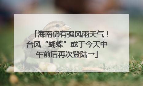海南仍有强风雨天气！台风“蝴蝶”或于今天中午前后再次登陆→