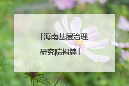 海南基层治理研究院揭牌