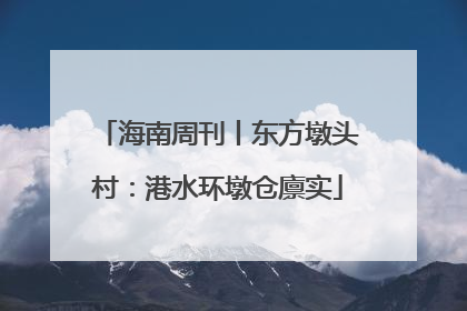 海南周刊丨东方墩头村：港水环墩仓廪实