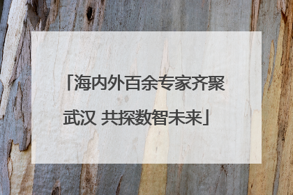 海内外百余专家齐聚武汉 共探数智未来