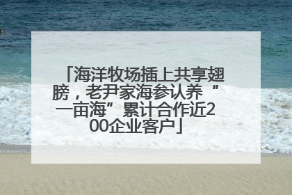 海洋牧场插上共享翅膀，老尹家海参认养“一亩海”累计合作近200企业客户