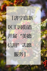济宁高新区王因街道开展“美德信用”志愿服务