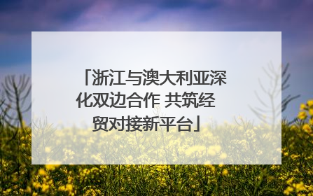 浙江与澳大利亚深化双边合作 共筑经贸对接新平台
