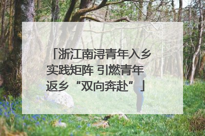 浙江南浔青年入乡实践矩阵 引燃青年返乡“双向奔赴”