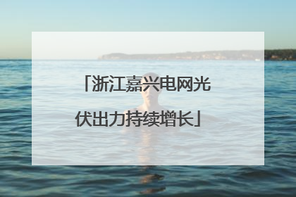 浙江嘉兴电网光伏出力持续增长