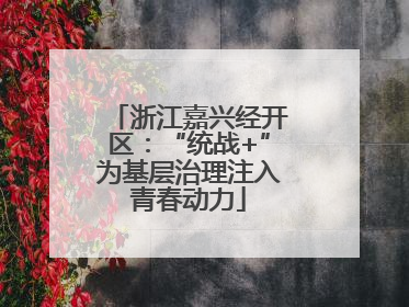 浙江嘉兴经开区：“统战+”为基层治理注入青春动力