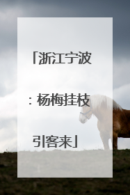 浙江宁波：杨梅挂枝引客来
