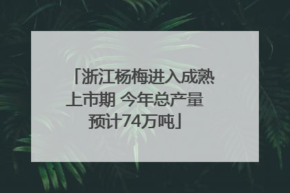 浙江杨梅进入成熟上市期 今年总产量预计74万吨