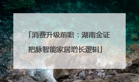 消费升级前瞻：湖南金证把脉智能家居增长逻辑