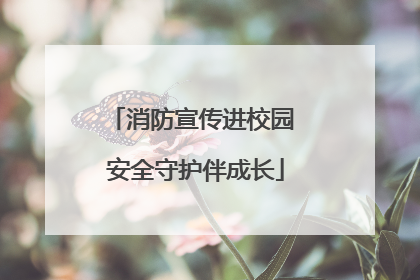 消防宣传进校园 安全守护伴成长