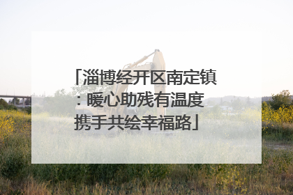 淄博经开区南定镇：暖心助残有温度 携手共绘幸福路