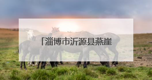 淄博市沂源县燕崖镇：浓情端午话文明 多彩活动暖人心