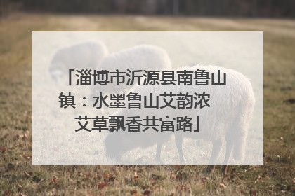 淄博市沂源县南鲁山镇：水墨鲁山艾韵浓 艾草飘香共富路