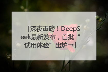 深夜重磅！DeepSeek最新发布，首批“试用体验”出炉→