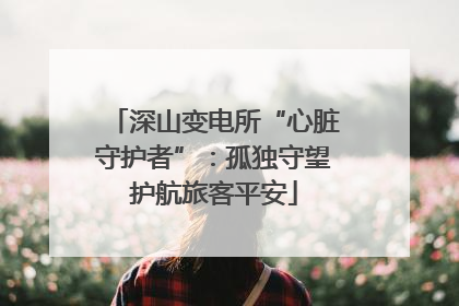 深山变电所“心脏守护者”：孤独守望护航旅客平安