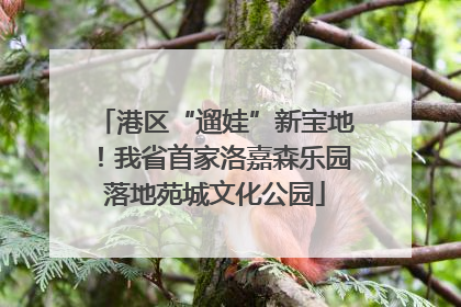 港区“遛娃”新宝地！我省首家洛嘉森乐园落地苑城文化公园