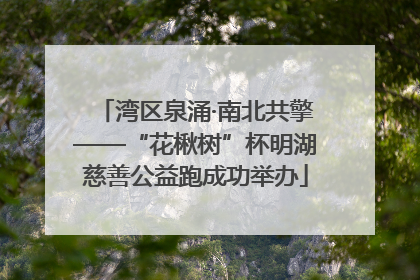 湾区泉涌·南北共擎——“花楸树”杯明湖慈善公益跑成功举办