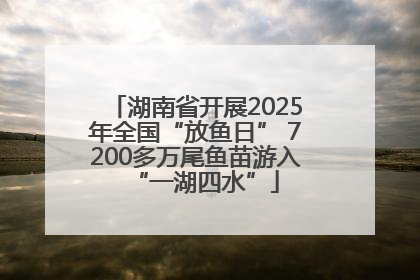 湖南省开展2025年全国“放鱼日” 7200多万尾鱼苗游入“一湖四水”