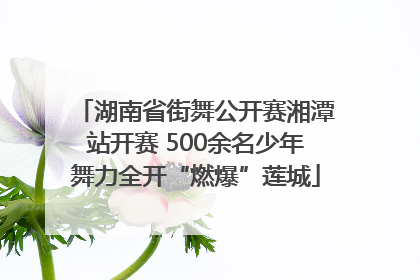 湖南省街舞公开赛湘潭站开赛 500余名少年舞力全开“燃爆”莲城