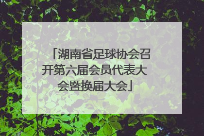 湖南省足球协会召开第六届会员代表大会暨换届大会