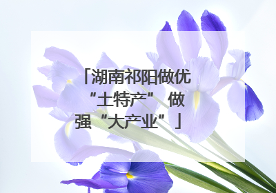 湖南祁阳做优“土特产” 做强“大产业”